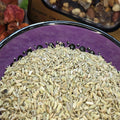 Fenchel - Capadocia Kuruyemis