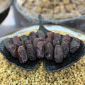 Medjoul Datteln aus Palestina - Capadocia Kuruyemis