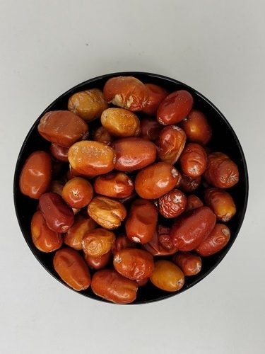 Ölweiden - Mehlbeeren eleagnus - Capadocia Kuruyemis