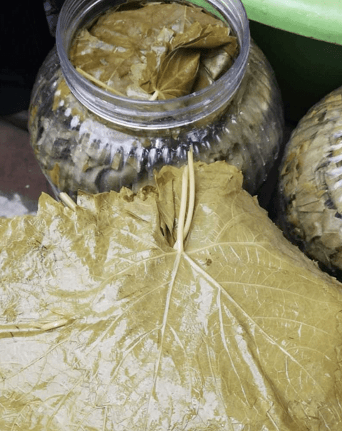 Weinblätter eingelegt 3kg - Capadocia Kuruyemis